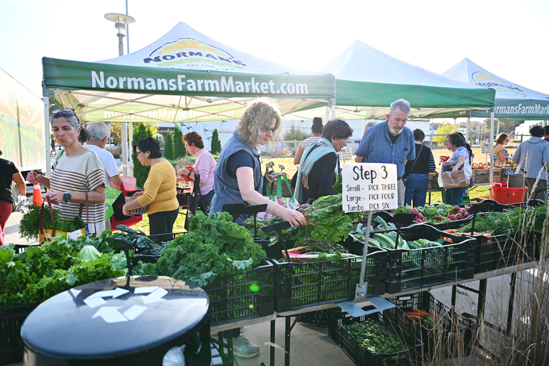 People picking up produce