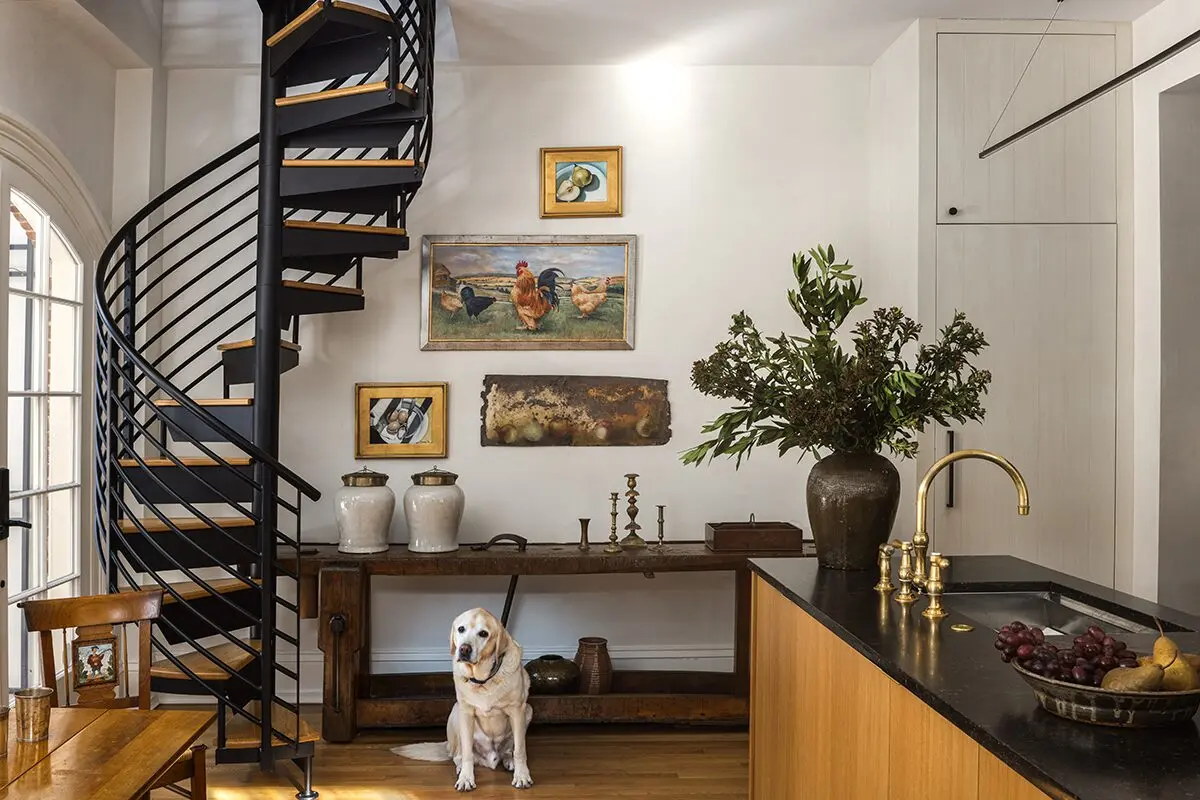 A winding staircase and dog