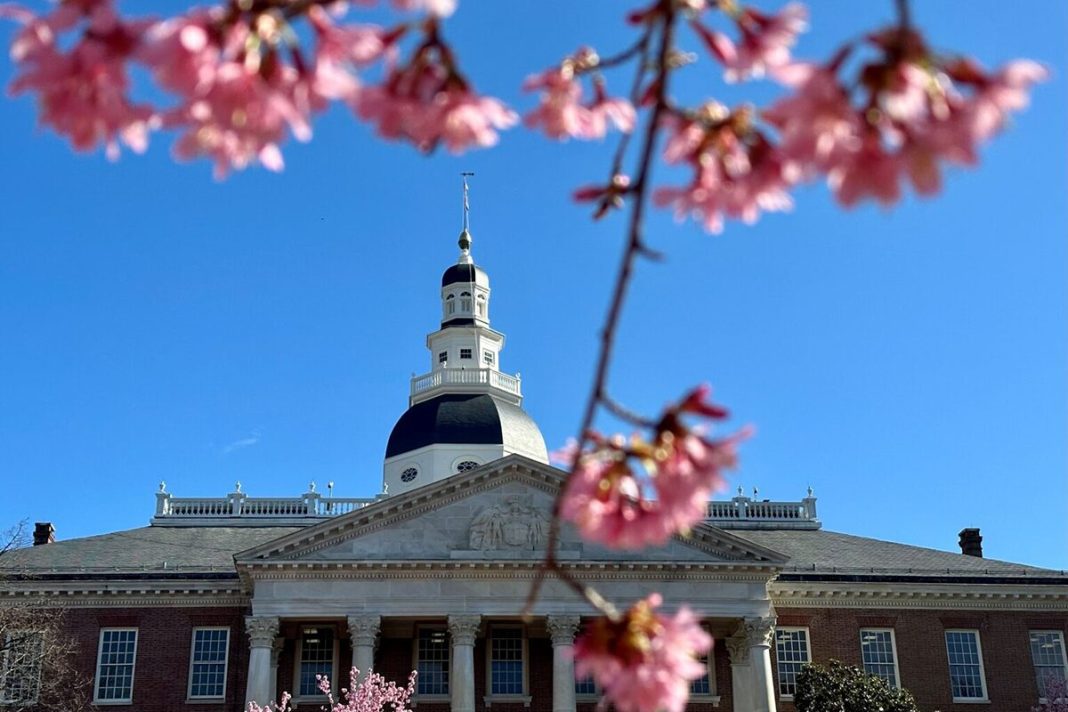 Trees bloom outside the Maryland State House
